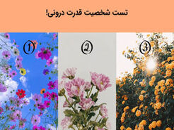 روانشناسی | تست شخصیت شناسی تصویری | یک گل را انتخاب کن تا بگم بقیه به چه ویژگیت حسادت میکنن