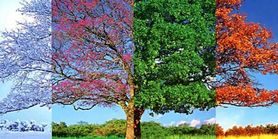 تست روانشناسی | فصل مورد علاقه ات را بگو تا بگم چی جوری هستی!