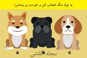 تست شخصیت شناسی |  یه توله سگ انتخاب کن و خودت رو بشناس + نتایج خفن