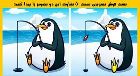تست هوش | 5 تفاوت ریز و سخت تصویر را بیابید