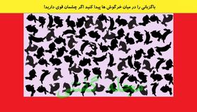 تست هوش | باگزبانی را در بین خرگوش ها پیدا کنید؟ اگر چشمان قوی دارید!