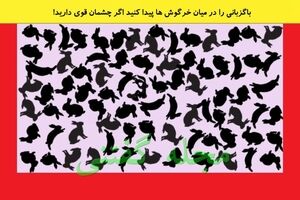 تست هوش | باگزبانی را در بین خرگوش ها پیدا کنید؟ اگر چشمان قوی دارید!