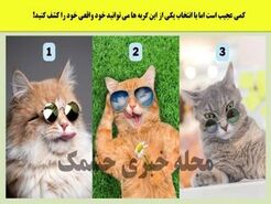 روانشناسی؛ شخصیت شناسی تصویری | یکی از این گربه های جذابو انتخاب کن تا بگم از نظر عشقت چقدر جذابی