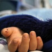 آمبولانسی که جان کودک دو ساله را گرفت