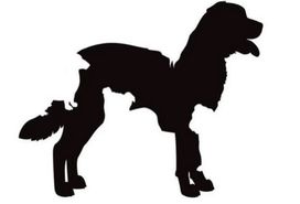 تست شخصیت شناسی | روح شما چقدر پیر شده است؟بگویید در تصویر چند سگ دیدید؟