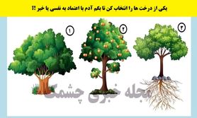 تست شخصیت شناسی | چقدر ادم اصیلی هست؟ یک درخت این قضیه رو فاش میکنه