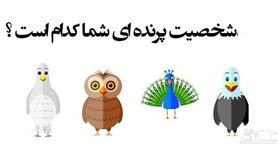 روانشناسی | بیا پرنده ماه تولدتو بهت بگم و رازهایی از شخصیتت فاش کنم که خودتم نمیدونستی