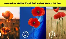 روانشناسی | یکی از این گلهای خشاش نشون میده دیگران شمارو با چه خصوصیات و صفاتی میشناسن