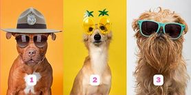 تست شخصیت شناسی | یک عینک انتخاب کن تا یگم چقدر باکلاسی