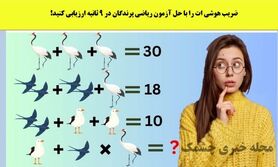 تست هوش | با حل این معما ضریب هوشیتو به رخ بکش