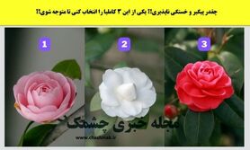 روانشناسی | میزان علاقه ت به پارتنرت رو بسنج ببین چقدر دوست داره!


