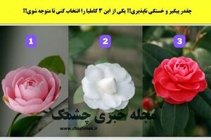 روانشناسی | میزان علاقه ت به پارتنرت رو بسنج ببین چقدر دوست داره!

