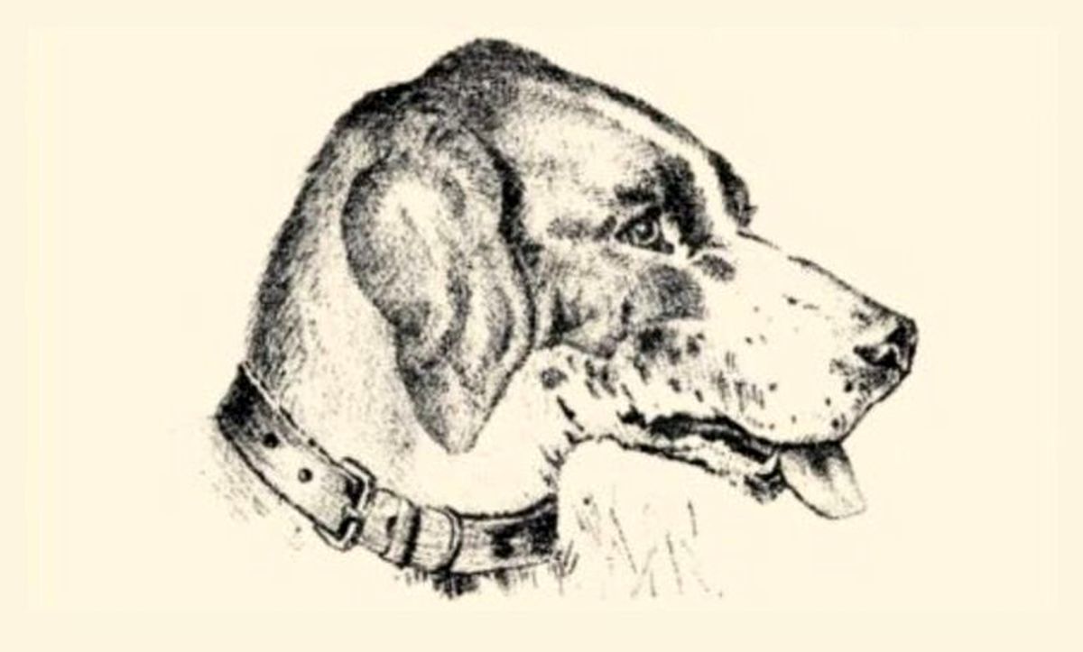 تست هوش| فقط افرادی با آی کیوی بالا میتوانند فرد مخفی شده در تصویر را بیابند + پاسخ