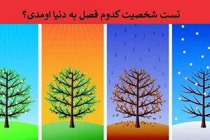 تست شخصیت شناسی از روی فصل | با جواب این تست شگفت زده می‌شوید