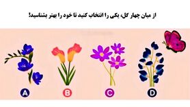 روانشناسی | کدام گل  نظر شما را جلب کرد | با انتخاب یک گل شخصیت عاطفی خود را بهتر بشناسید