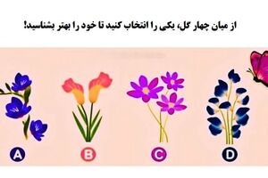 روانشناسی | کدام گل  نظر شما را جلب کرد | با انتخاب یک گل شخصیت عاطفی خود را بهتر بشناسید