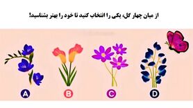 روانشناسی | کدام گل  نظر شما را جلب کرد | با انتخاب یک گل شخصیت عاطفی خود را بهتر بشناسید