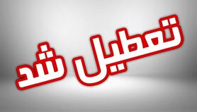 فوری/ تعطیلی مدارس تا پایان هفته