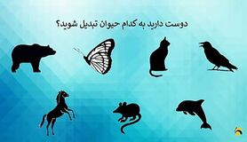 روانشناسی | بگید دوست دارید کدام حیوان باشید تا شخصیت درونی شما را فاش کنم