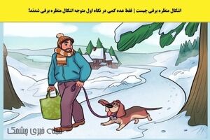 تست هوش | فقط عده کمی اشکال این تصویر را می‌فهمند 