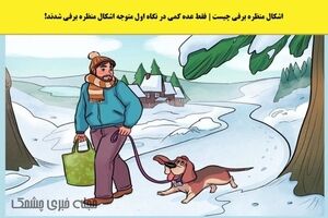 تست هوش | فقط عده کمی اشکال این تصویر را می‌فهمند 