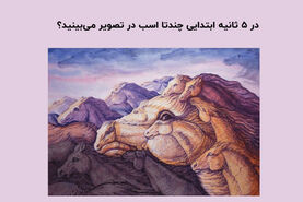 تست روانشناسی | تو ۵ ثانیه ابتدایی چندتا اسب دیدی؟