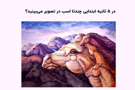 تست روانشناسی | تو ۵ ثانیه ابتدایی چندتا اسب دیدی؟
