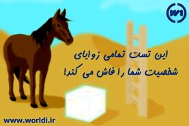 روانشناسی | با پاسخ به این سوالات تمام زوایای شخصیتی خود را بشناسید