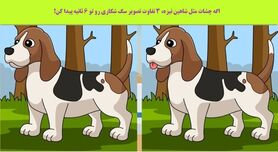 تست هوش | تفاوت های تصویر را زیر 6 ثانیه پیدا کنید