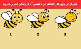 روانشناسی | یک زنبور انتخاب کن تا بگم آدم خوش بین یا بد بینی هستی