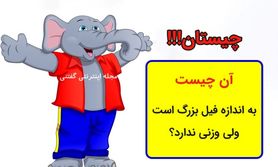  آن چیست به اندازه فیل بزرگ است ولی وزنی ندارد؟