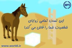 روانشناسی | از زندگیت راضی هستی یا نه؟ این تست رو انجام بده تا بگم خوشبختی یا نه