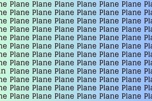 تست هوش | زود تند سریع بجنب و کلمه Plain رو بین این همه کلمه Plane پیدا کن