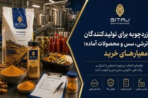 زردچوبه برای تولیدکنندگان ترشی، سس و محصولات آماده؛ معیارهای خرید