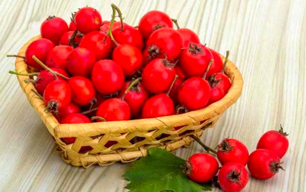 تقویت کلیه ها و کبد با گیاهان دارویی شگفت انگیز