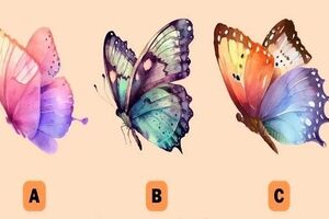 تست شخصیت شناسی | یک پروانه انتخاب کن تا بگم قدرت ماورایی و درونیت چیه