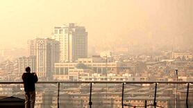 بهترین و مناسب ترین تغذیه برای مقابله با اثرات مضر آلودگی هوا
