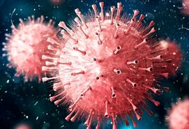 استفاده از ماسک در همه محیط ها الزامی است