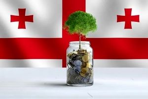 معرفی روش های مختلف سرمایه گذاری در گرجستان