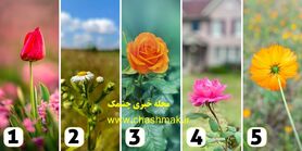 روانشناسی | ویژگی خاص شما از نظر اطرافیانتون چیه؟ یک گل انتخاب کنید 