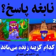 تست هوش | فقط یه نابغه میتونه بگه کی زنده میمونه + جواب